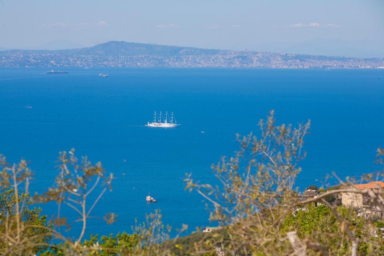 Villa Venus In Penisola Sorrentina Маса Лубрензе Екстериор снимка