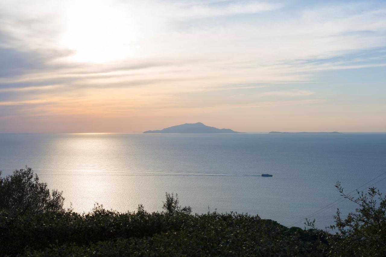 Villa Venus In Penisola Sorrentina Маса Лубрензе Екстериор снимка