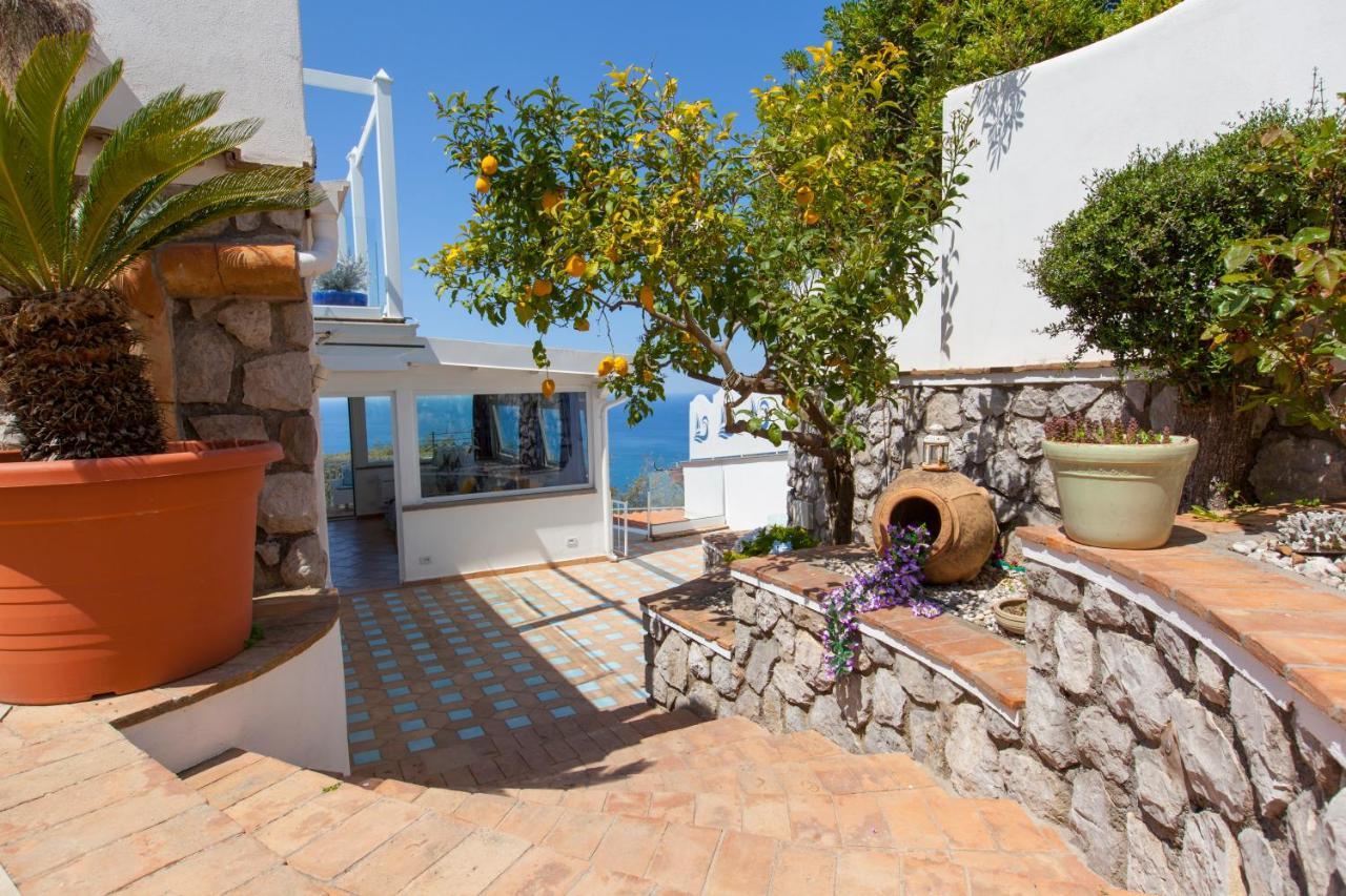 Villa Venus In Penisola Sorrentina Маса Лубрензе Екстериор снимка