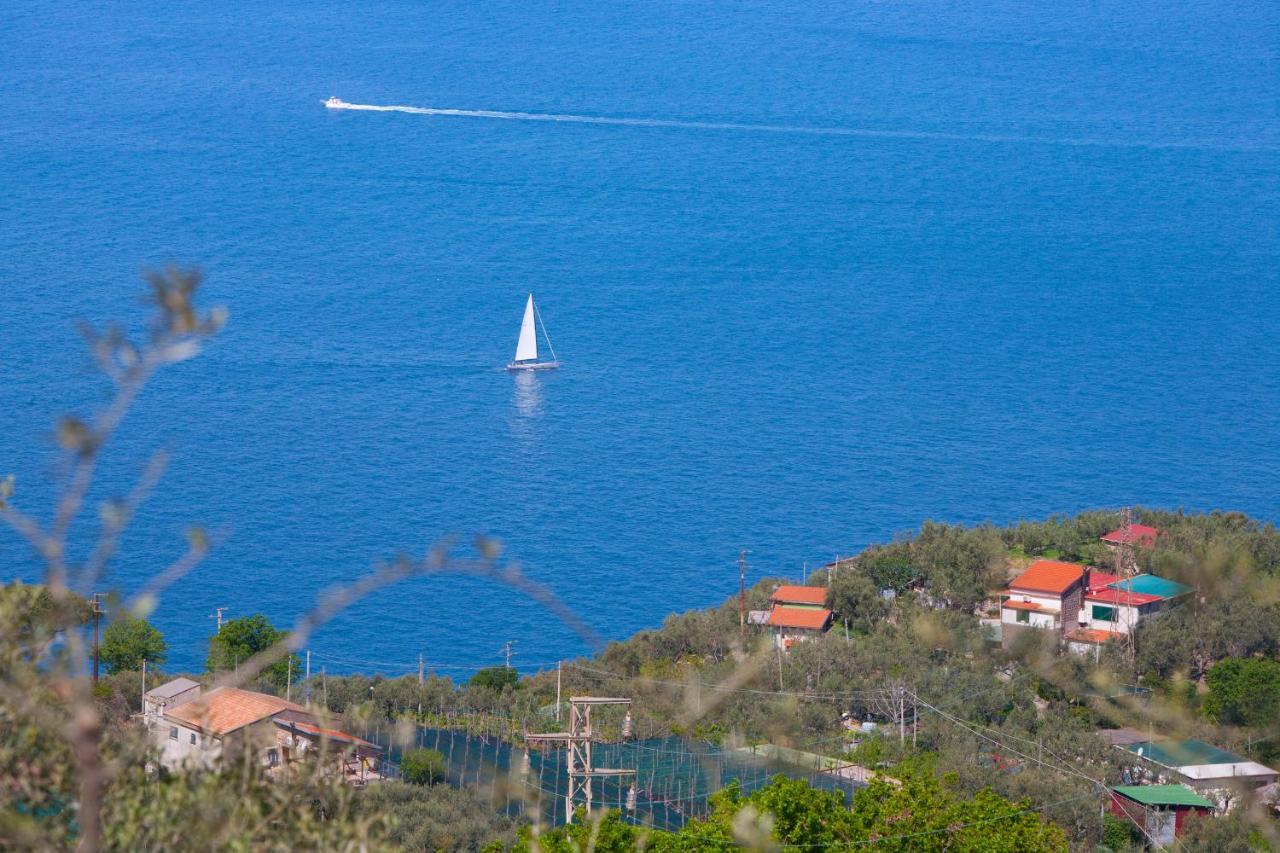 Villa Venus In Penisola Sorrentina Маса Лубрензе Екстериор снимка